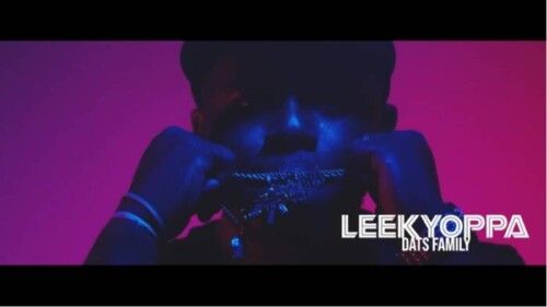 Attachment_1597289909-500x281 LeekYoppa - Dats Family (Video) 