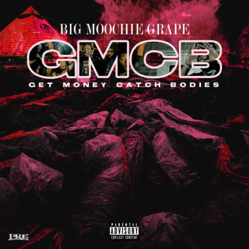 unnamed-1-21-500x500 Big Moochie Grape Drops "Get Money Catch Bodies" Video  